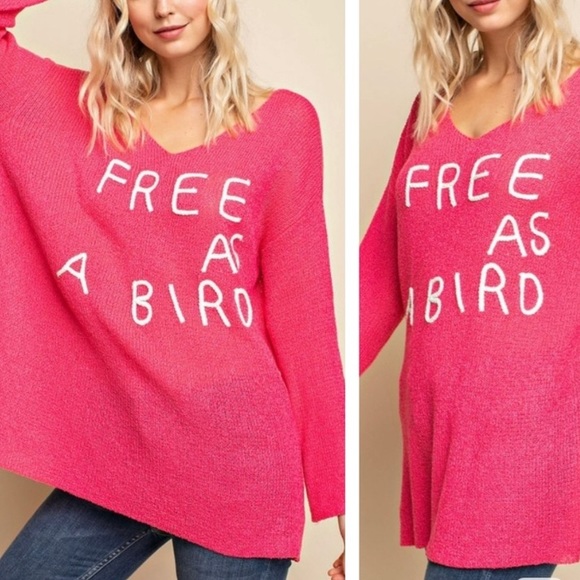 Private Label Tops - LAST- Free as a Bird Knit Oversized Tunic sweater